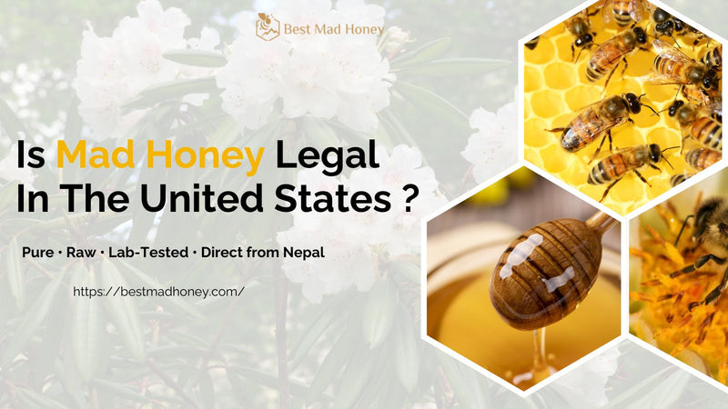 Is Mad Honey Legal in the US? Laws in Texas, California, Florida, & New York