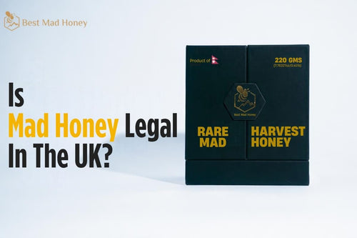 Is Mad Honey Legal in the UK? 2026 Rules In England, Scotland, Wales and Northern Ireland