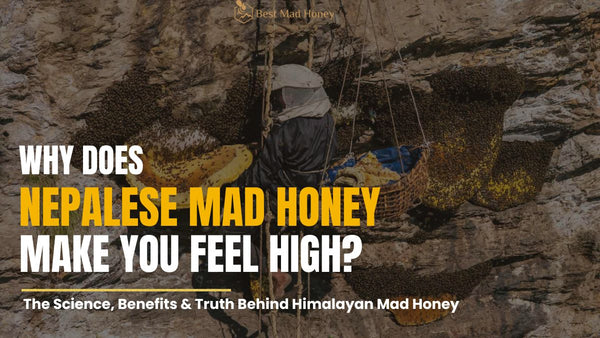 Why Does Nepalese Mad Honey Make you Feel High?