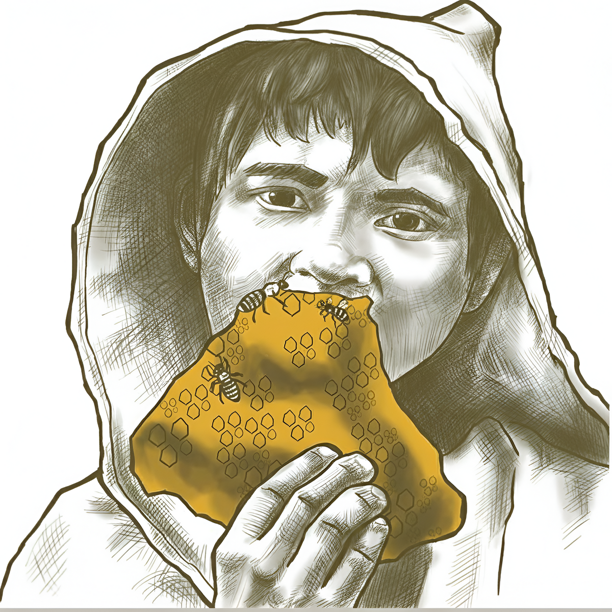 The Honey from the Foot Hills of the Himalayas