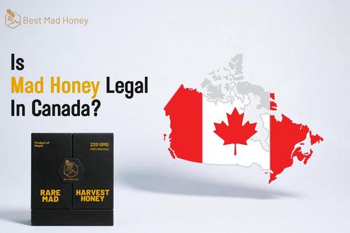 Is Mad Honey Legal in Canada? 2026 Rules on Buying, Importing and Customs