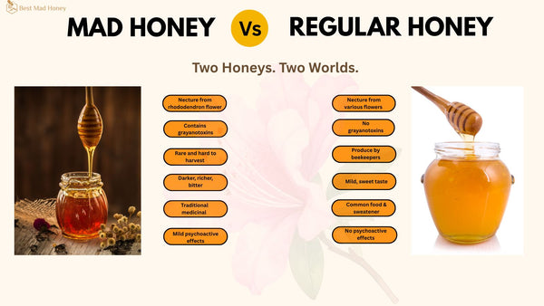 What Makes Real Mad Honey Different from Regular Honey?