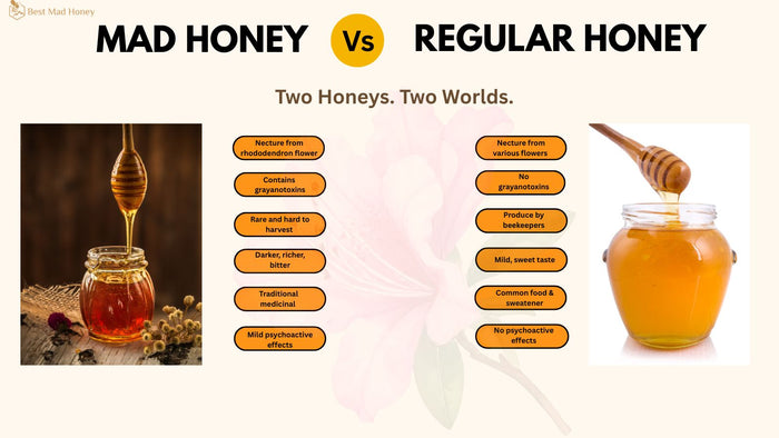 What Makes Nepal Mad Honey Different from Regular Honey?
