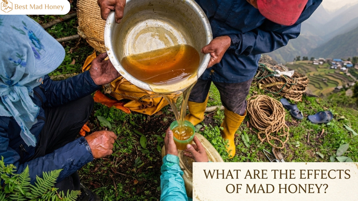 What Are the Effects of Mad Honey?