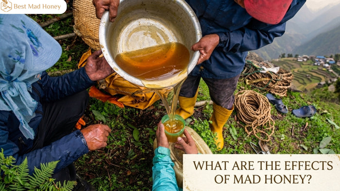What Are the Effects of Mad Honey?