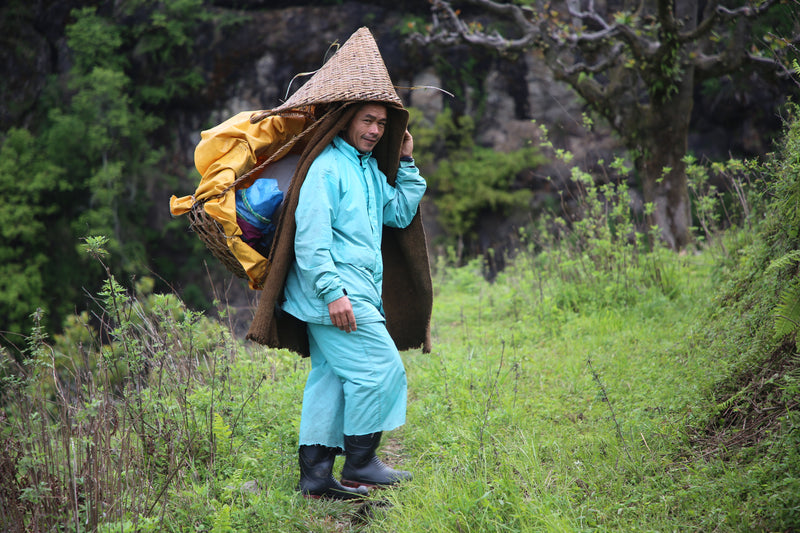 Preserving the Future of Honey Hunting