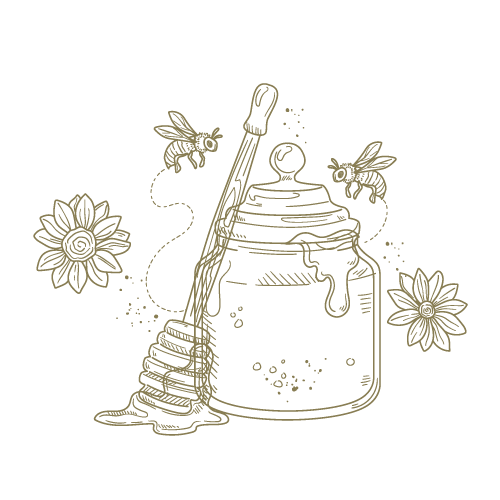 Botanical Illustration
