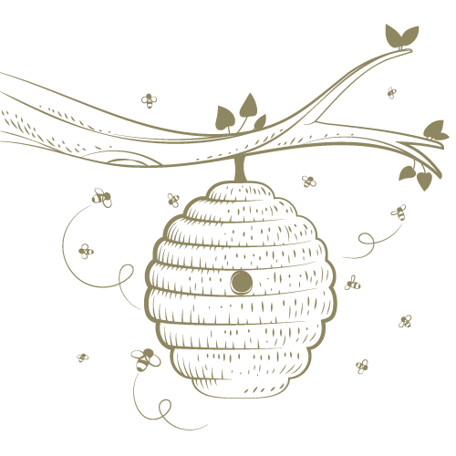 Botanical Illustration